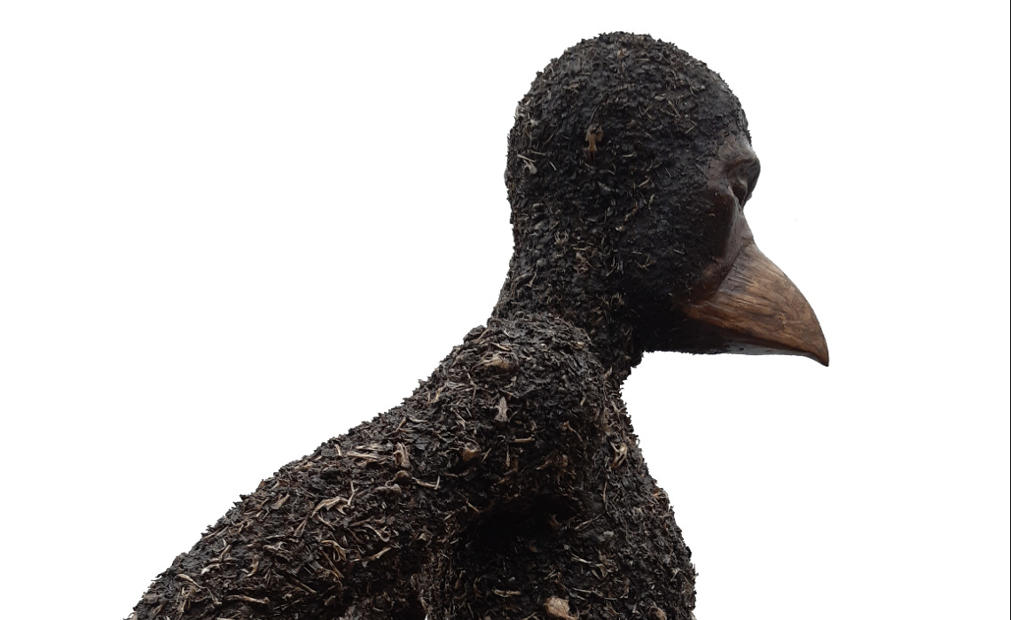 Oiseau - 
Os et poils de rongeurs sur structure bois surmodelée (matériaux composites divers)
Juillet 2020