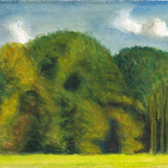 Bois de Pelissié - Claude Roucard - Aquarelle sur papier marouflé sur toile - 2023